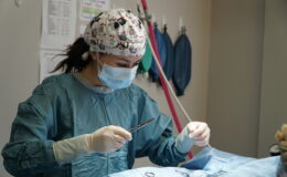 Dr. Sophie in Surgery