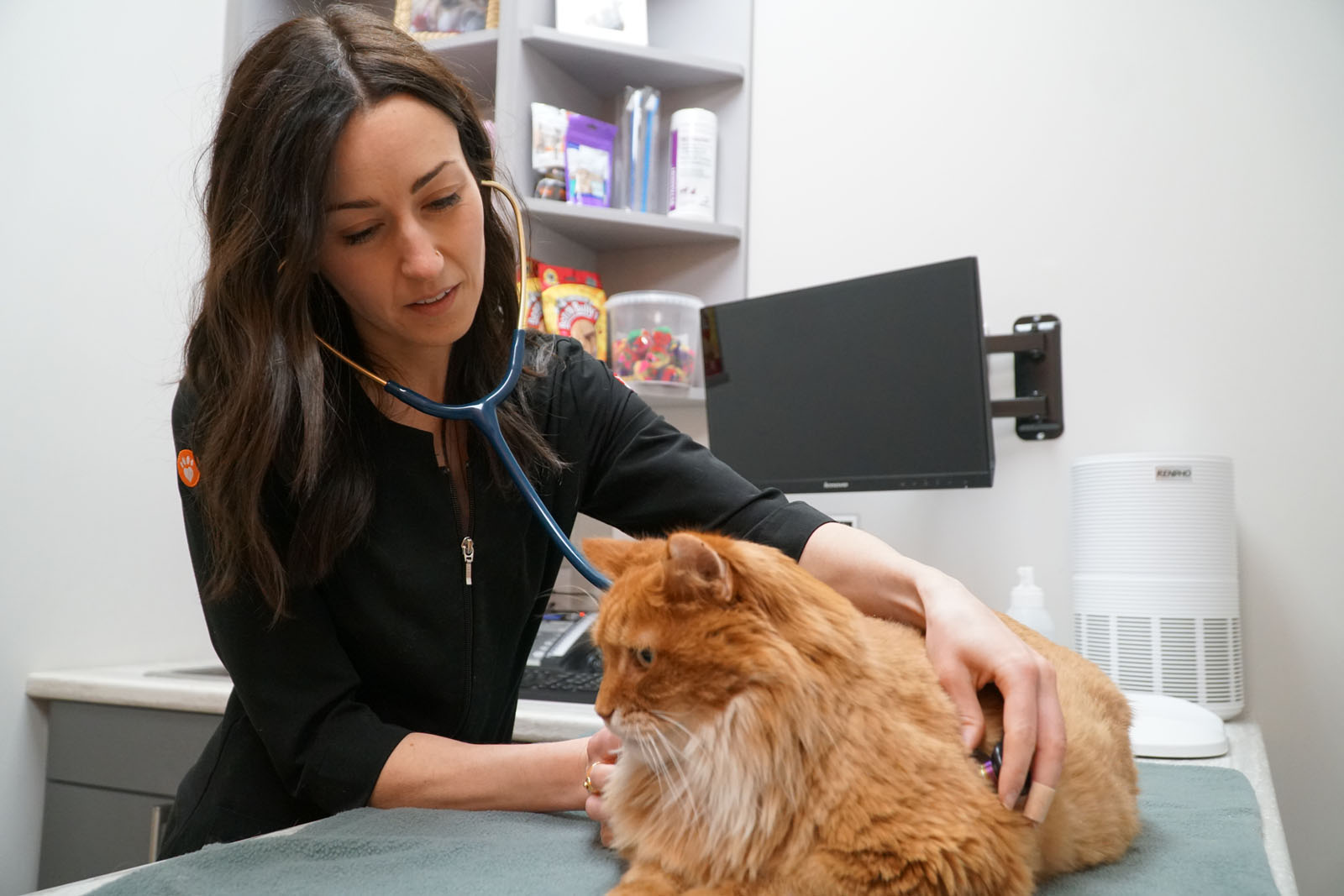 Wellness Exams & Vaccinations